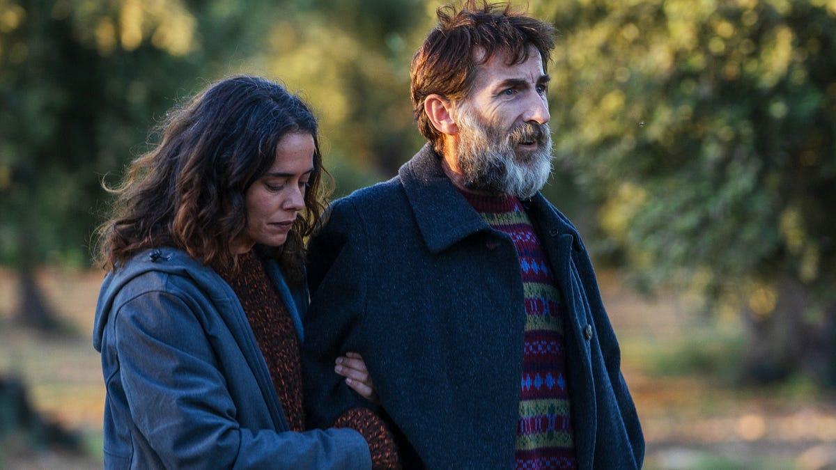 Fotograma de "Los destellos"